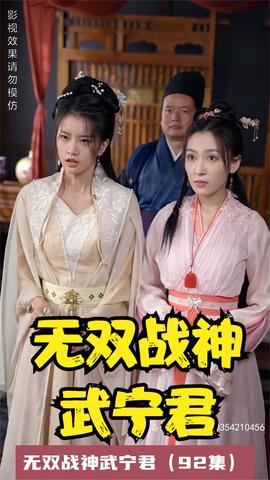 无双战神武宁君(全集)