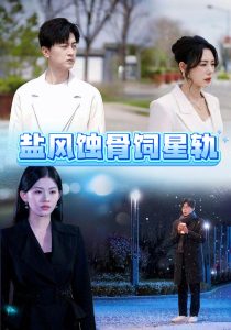 盐风蚀骨饲星轨全集(大结局)