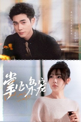 掌心枭宠全集(大结局)