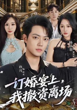 一订婚宴上，我撤资离场(全集)